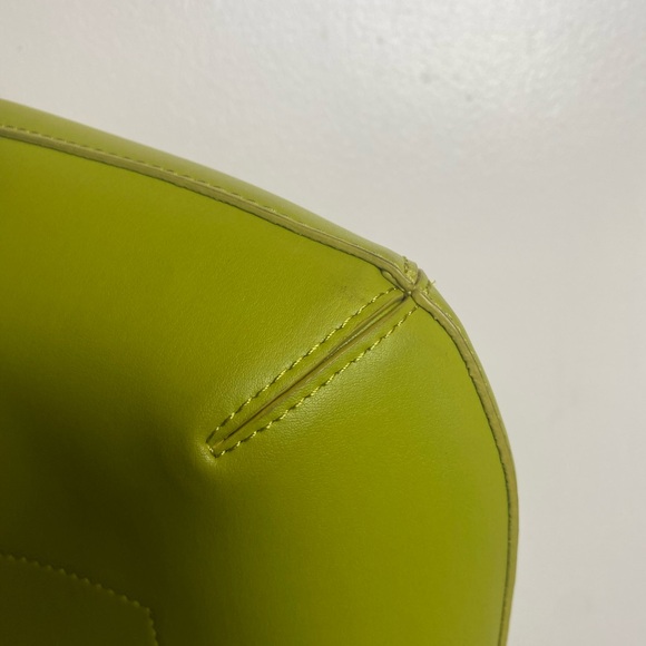 Everlane Cactus Leather Hobo Bag - Picture 12 of 13